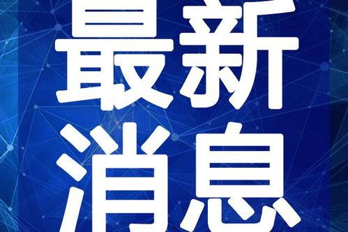 农民老张最新爆料视频,揭秘农村现状，农民心声引关注