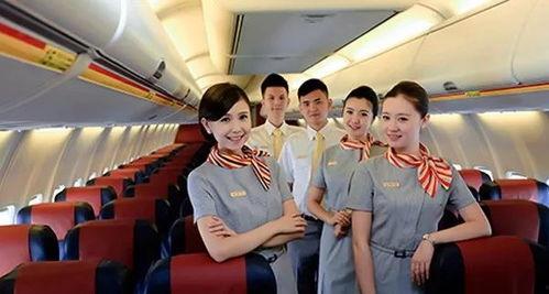 厦航空姐爆料最新消息,揭秘航班内部不为人知的秘密